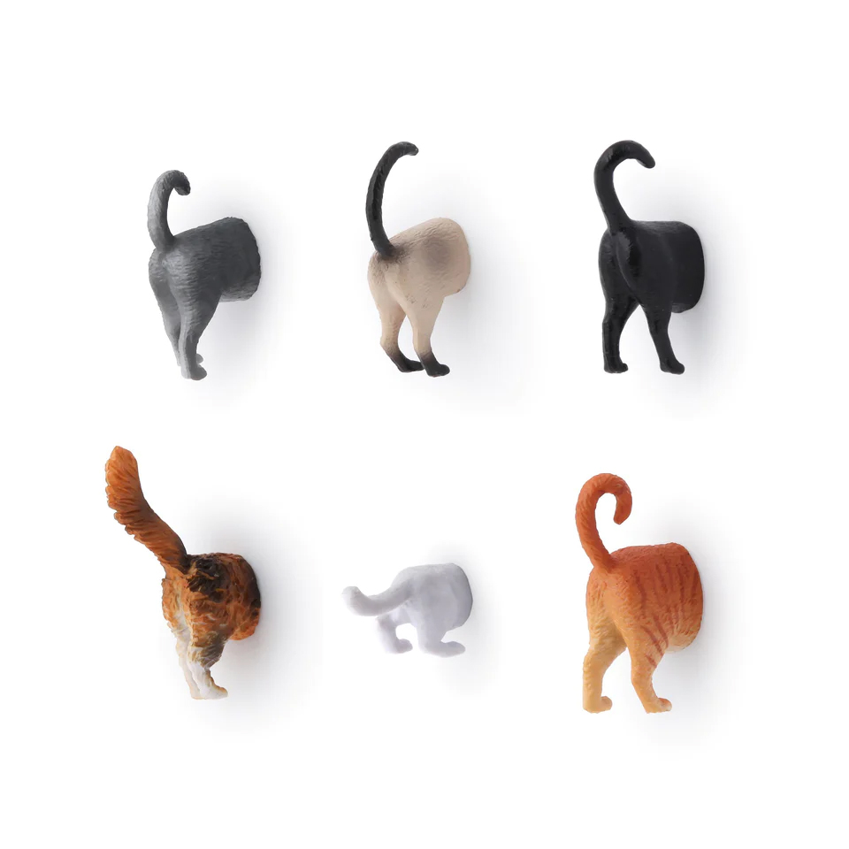 Katten Achterwerk Magneten Set van 6