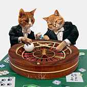 Roulette kattenspeeltje