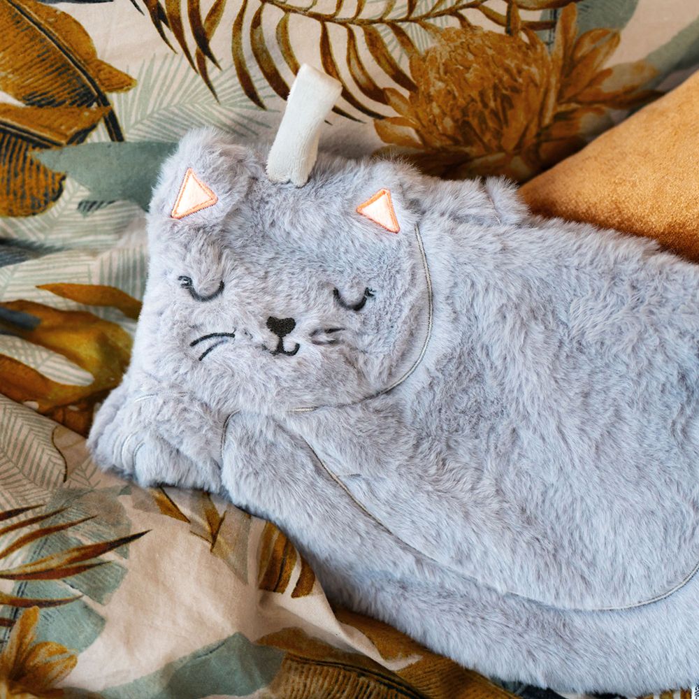 Kruik Grijze Kat