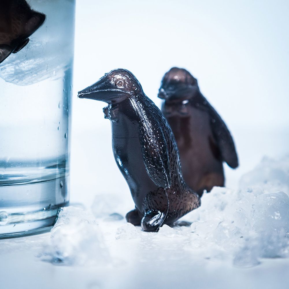 Pinguïn coolers