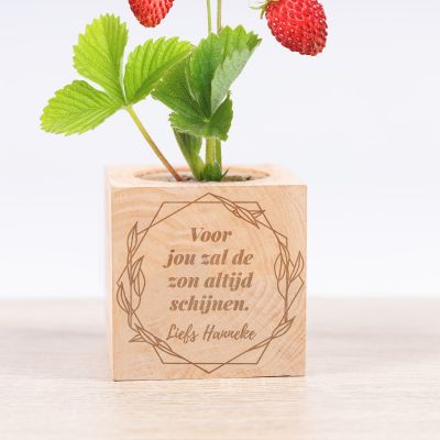 Ecocube - Plantjes in Houten Kubus met Gravure Ecocube - Plantjes in Houten Kubus met Gravure