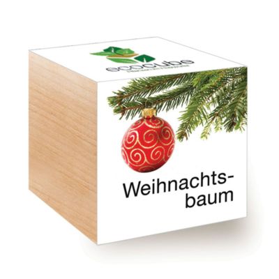 Kerstachtige ecocube - planten in houtblokken