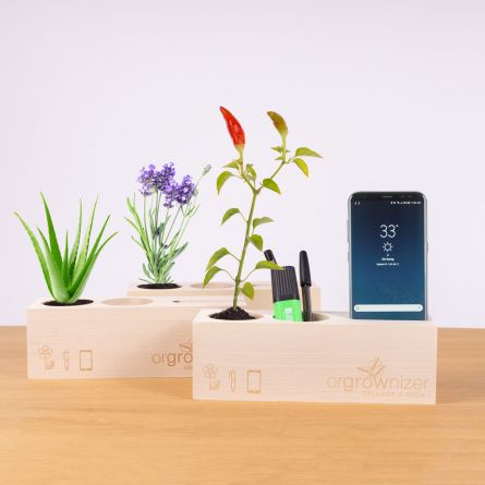 Orgrownizer - Bureau organizer met plant