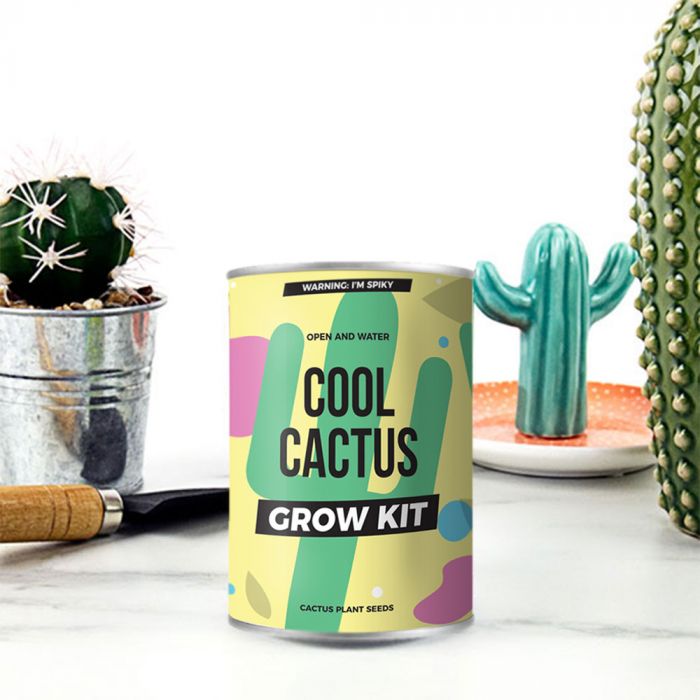 Cactus in blik main product photo