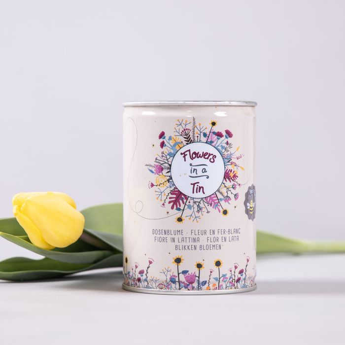Bloemenweide in een Blik main product photo