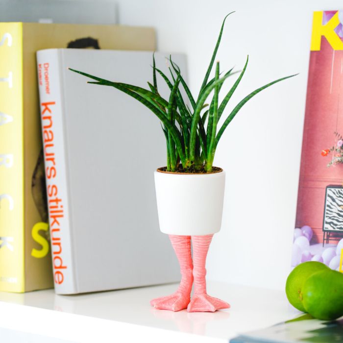 Grappige Bloempot met Flamingo Voeten main product photo