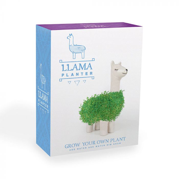 rooster driehoek Trots De groene lama Planter - om verse sprouts te kweken | snelle levering