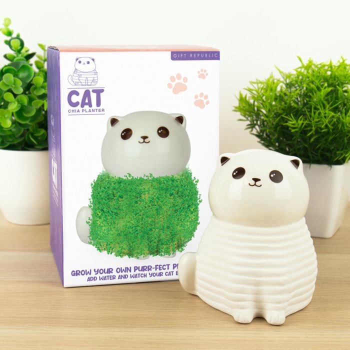 Het groene katje