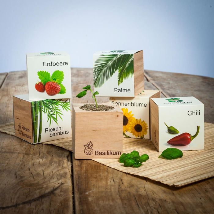 cadeau voor haar - ecocube planten in houtblokken