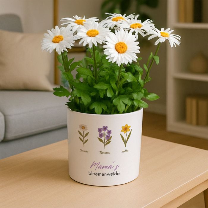 Gepersonaliseerde bloempot met geboortebloemen