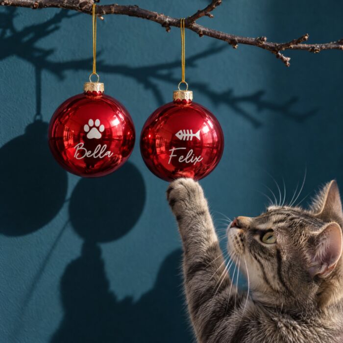 Gepersonaliseerde kerstballen met huisdier – Set van 2