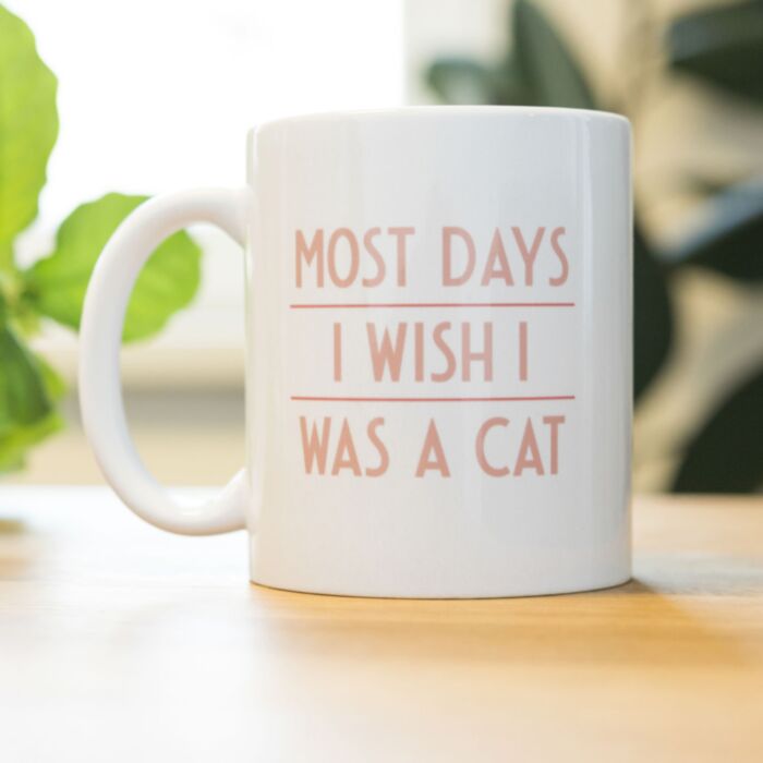 Most Days I Wish ... mok