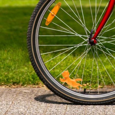 Fiets katje Kordula Fiets katje Kordula