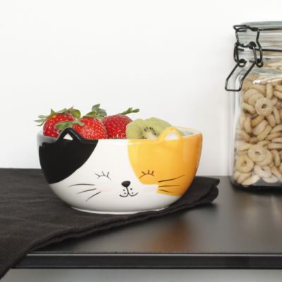 Kat ontbijtkom Kat ontbijtkom