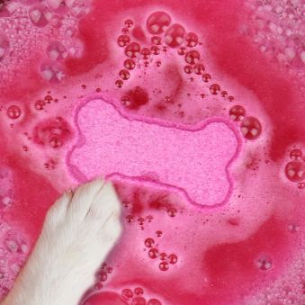 Bruisballen voor honden