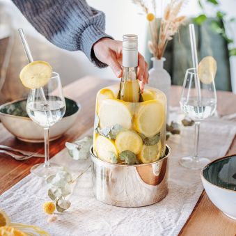 Ice Cooler - creatieve flessenkoeler