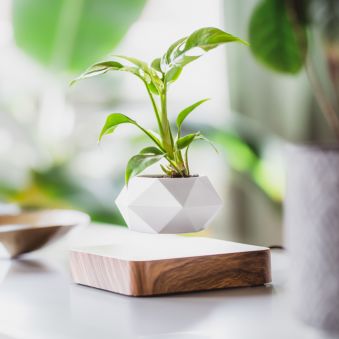 Zwevende Design Bloempot