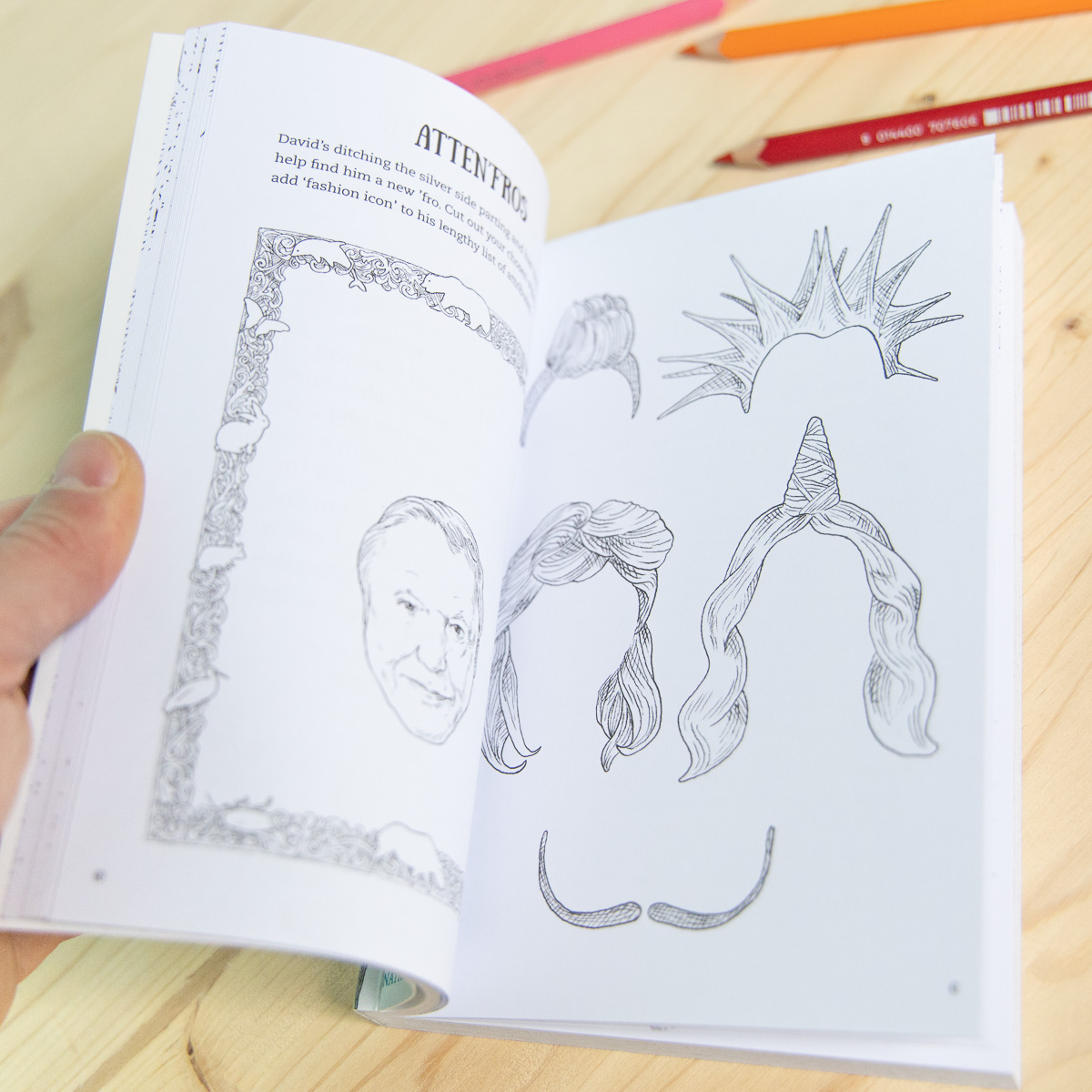 David Attenborough Activity boek