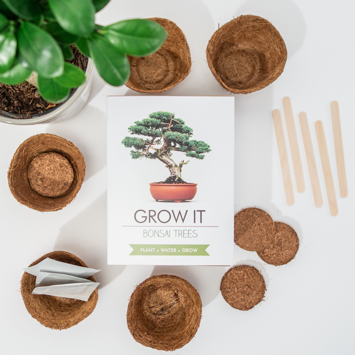 Grow It Bonsai boom