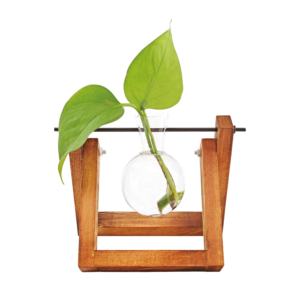 Hydrocultuur Glazen Vaas in Houten Frame