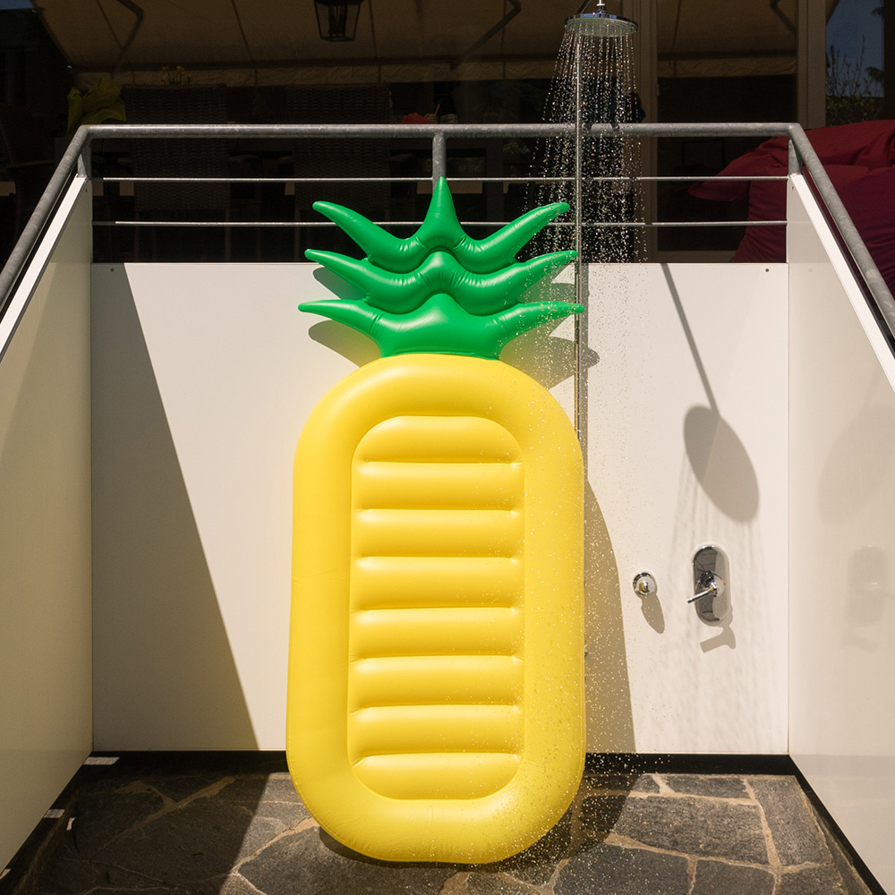 Ananas luchtmatras