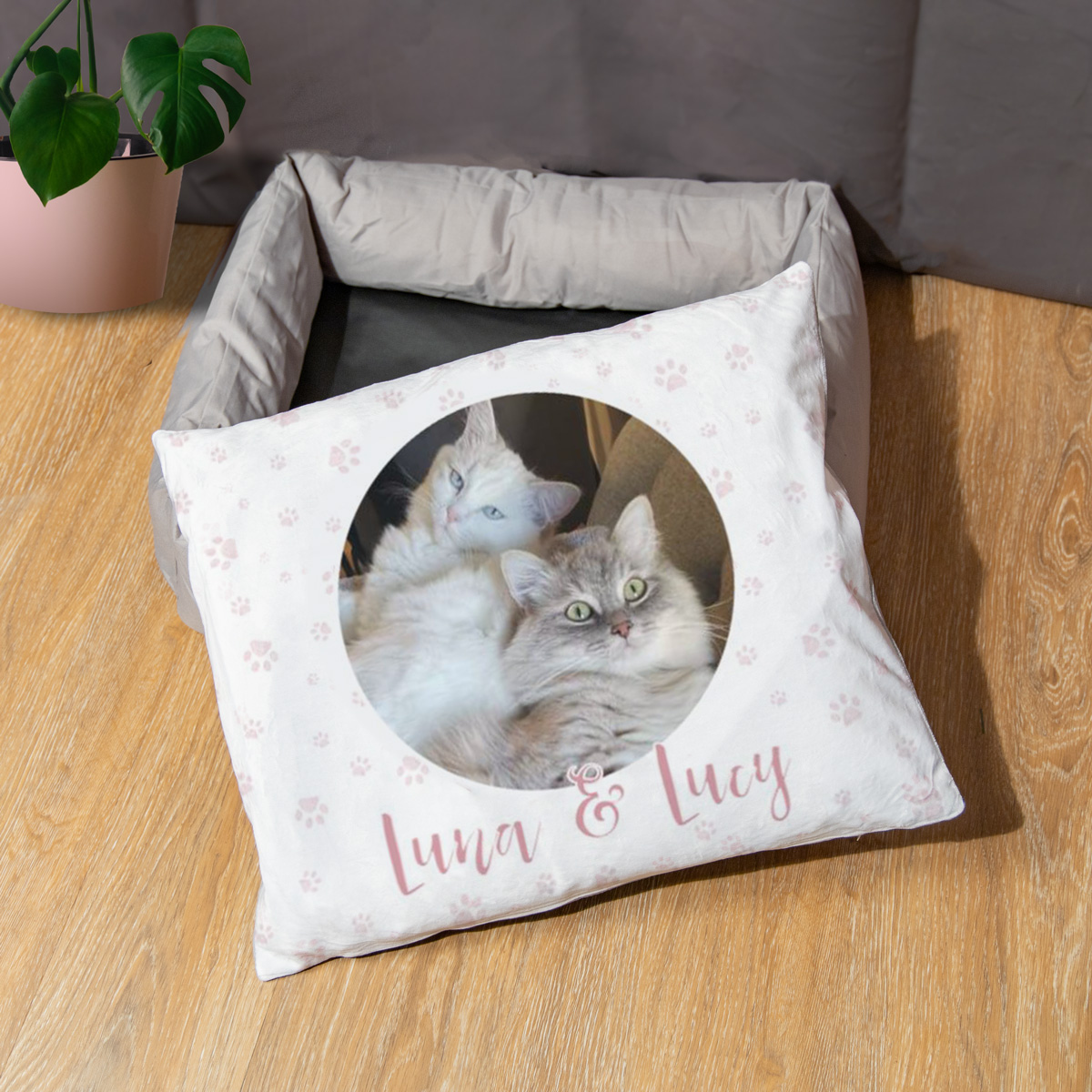 Hondenbed met foto en tekst