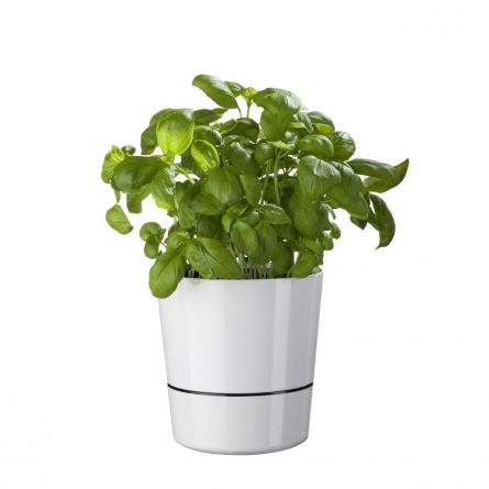 Herb Hydro bloempotten