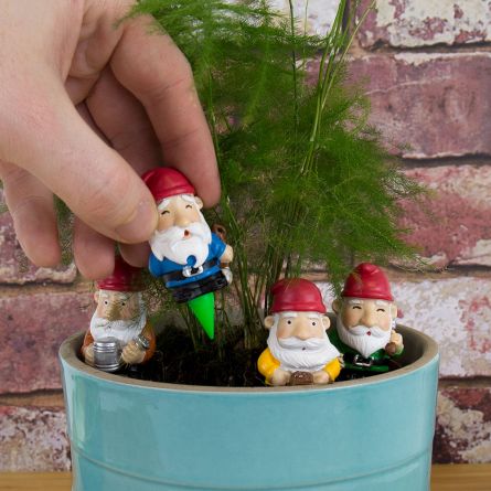 Set van 4 mini tuinkabouters
